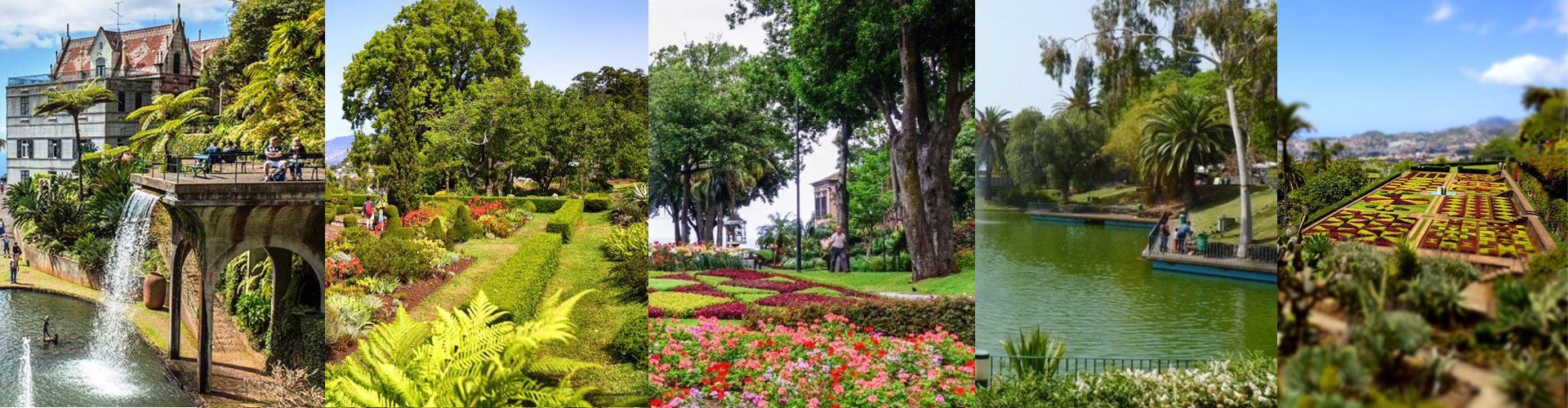 5 Jardins que tem de visitar no Funchal 5 Jardins que tem de visitar no Funchal